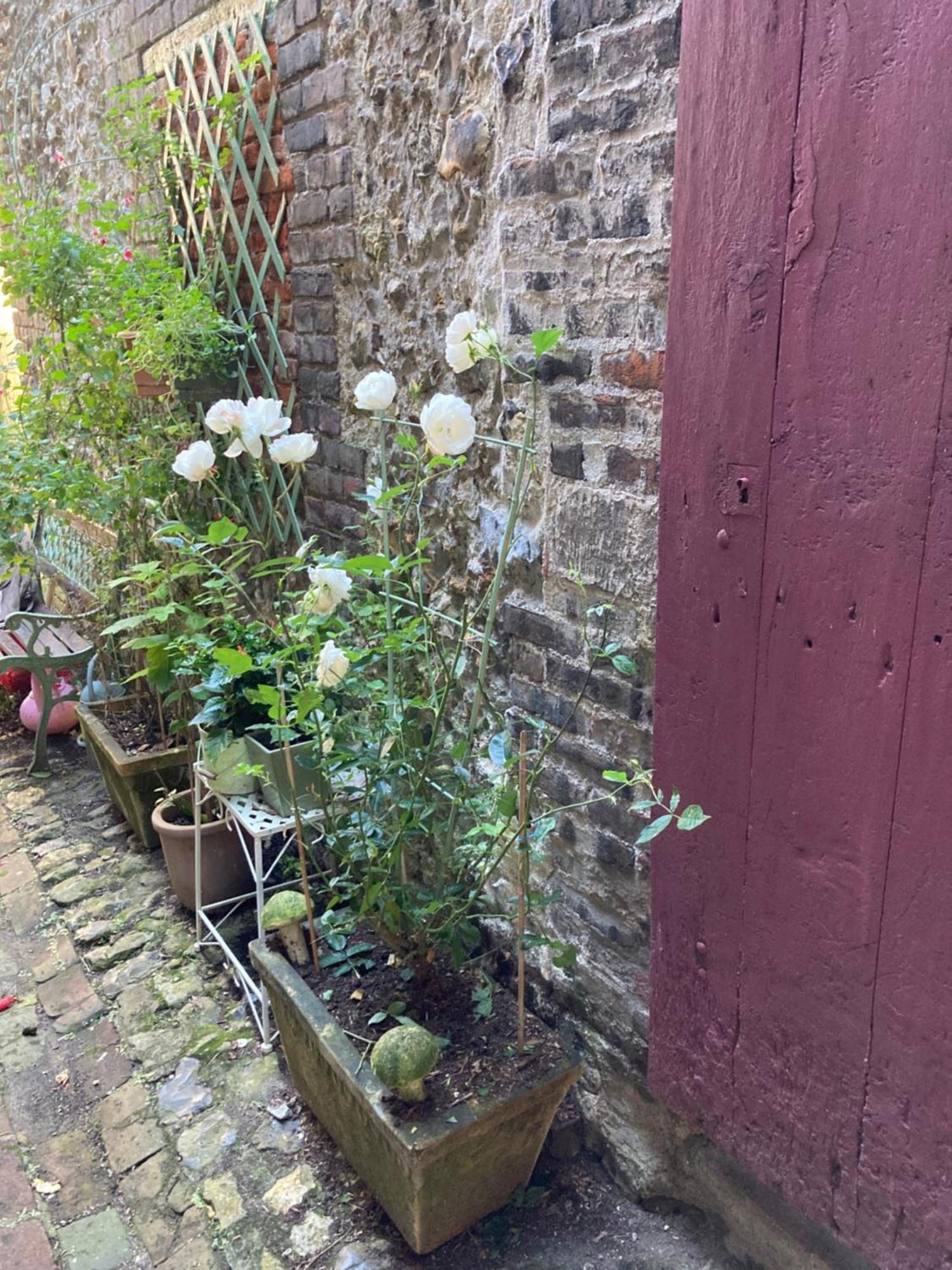 La Maison Belle Maree Honfleur Esterno foto