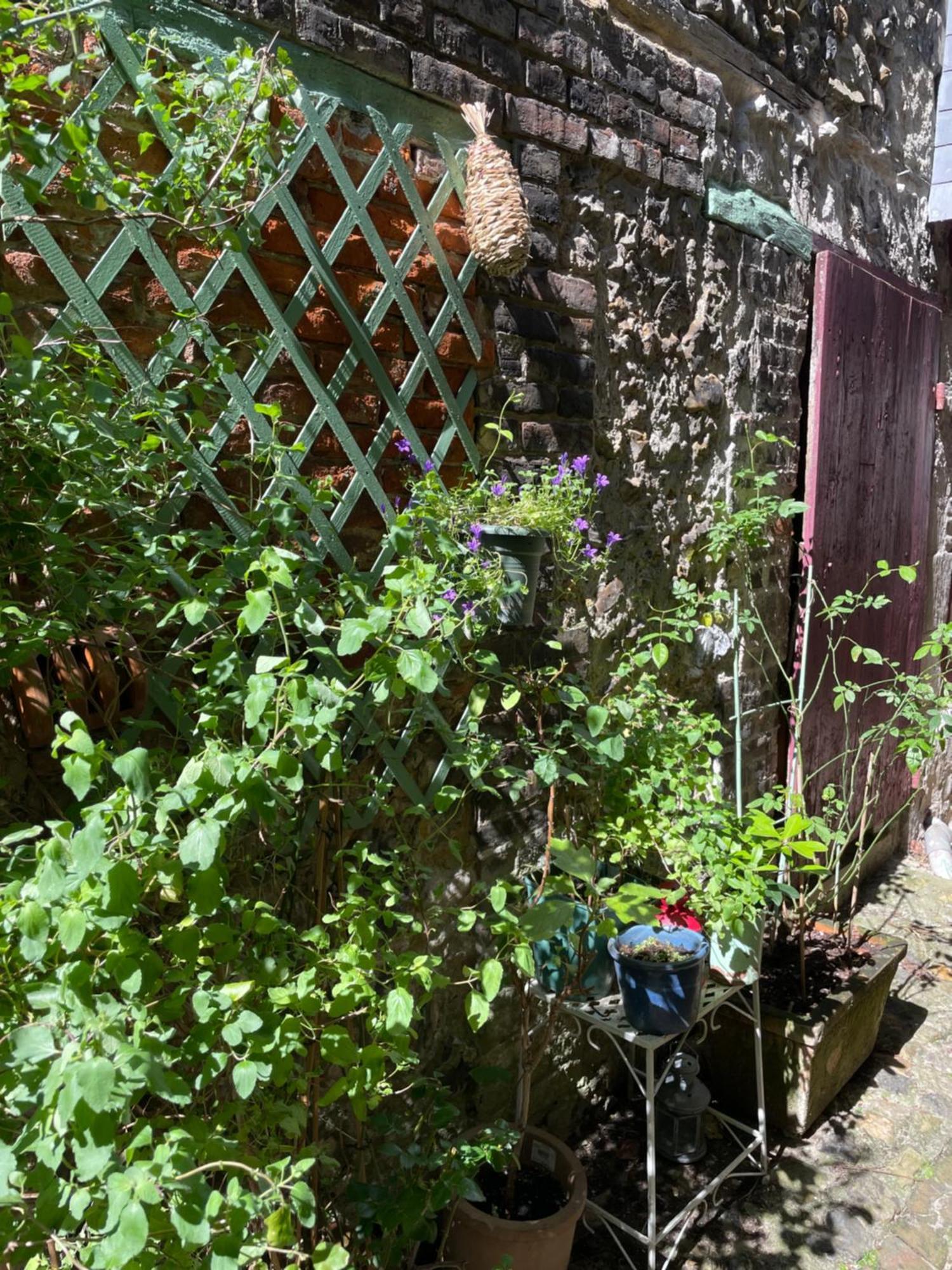 La Maison Belle Maree Honfleur Esterno foto